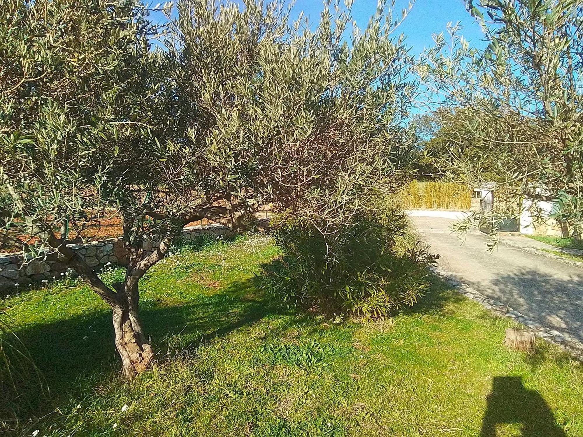 Cotignac Sejour Vacances Luaran gambar